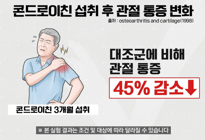 콘드로이친 효능