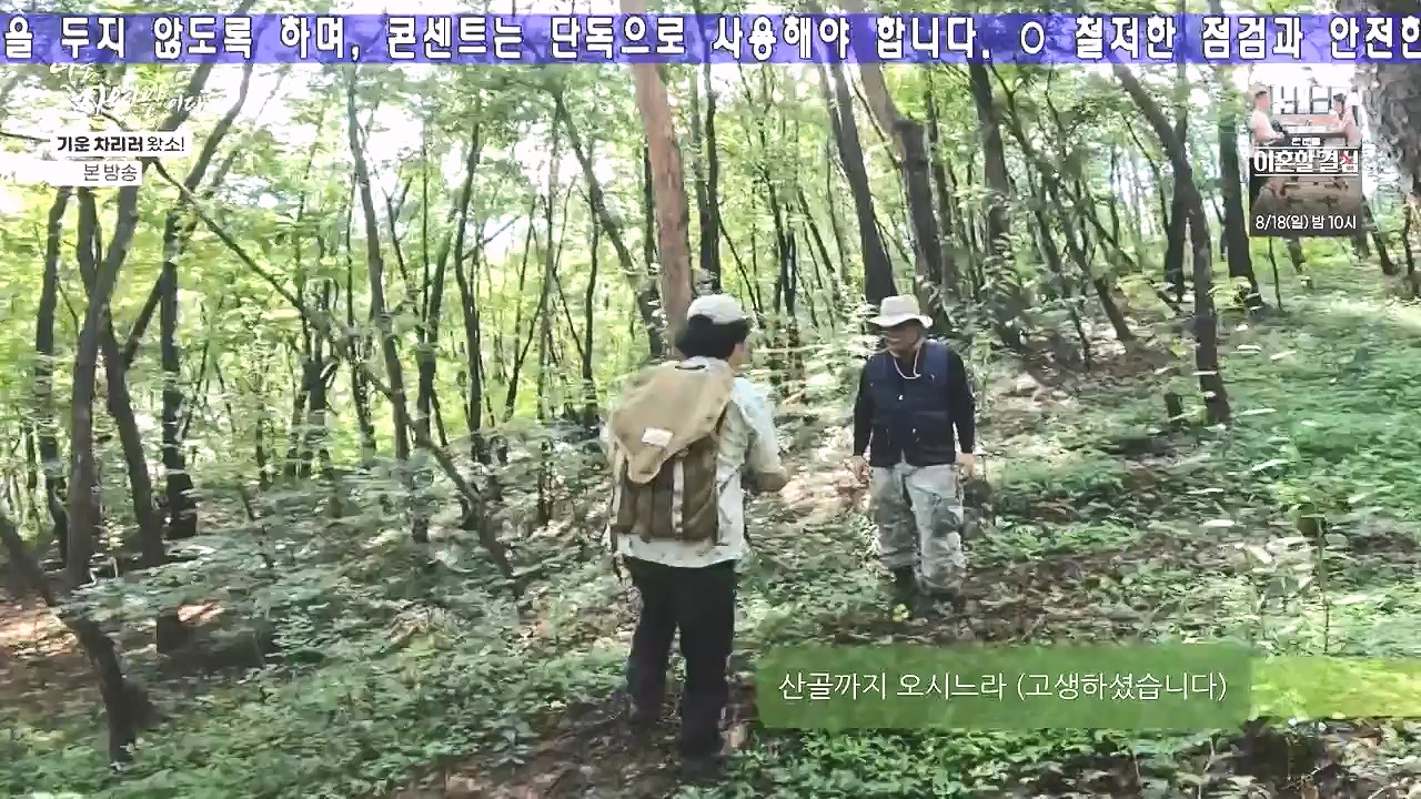 나는 자연인이다.E617.240808p-NEXT.mp4_20240808_195039.529.jpg