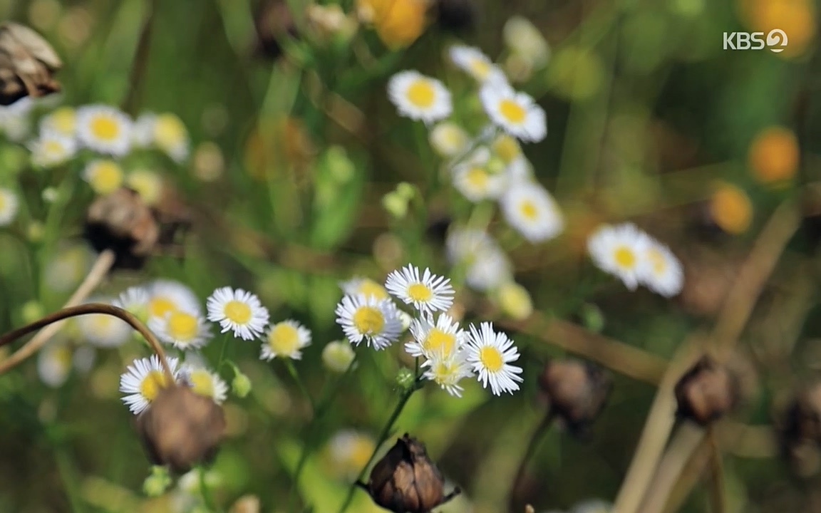 다큐멘터리 3일.E716.220314p-NEXT.mp4_20220315_185459.139.jpg