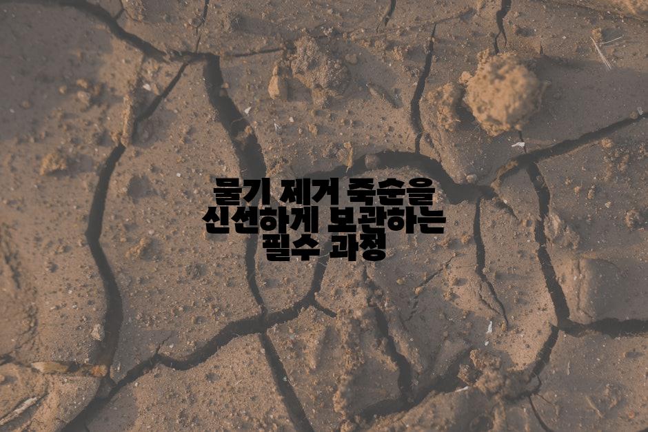물기 제거 죽순을 신선하게 보관하는 필수 과정