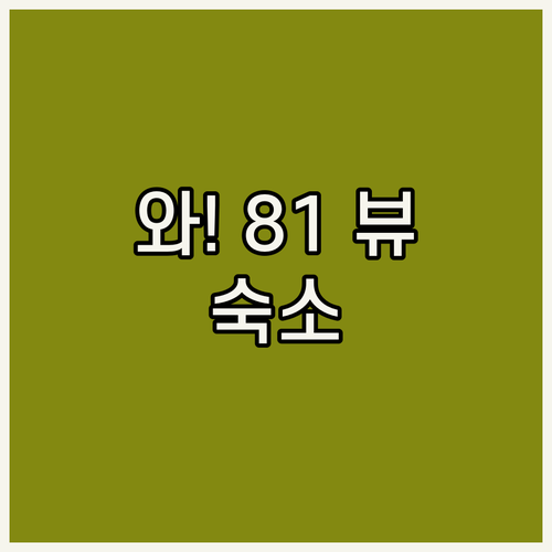 와! 호치민 랜드마크 81 뷰가 미쳤