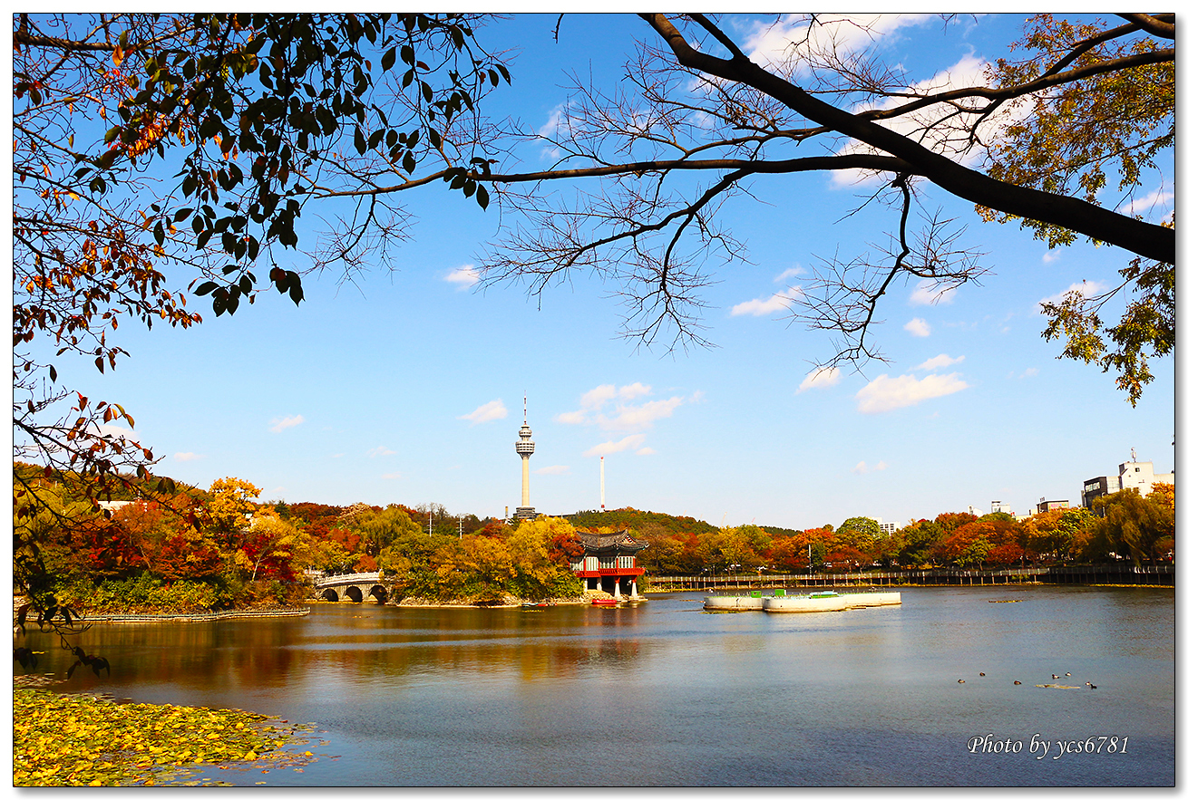 두류공원 이미지