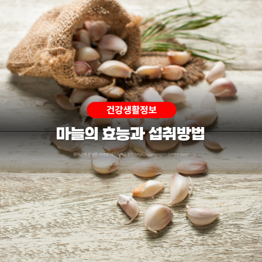  마늘의 효능과 섭취방법을 쉽게 알아보세요.