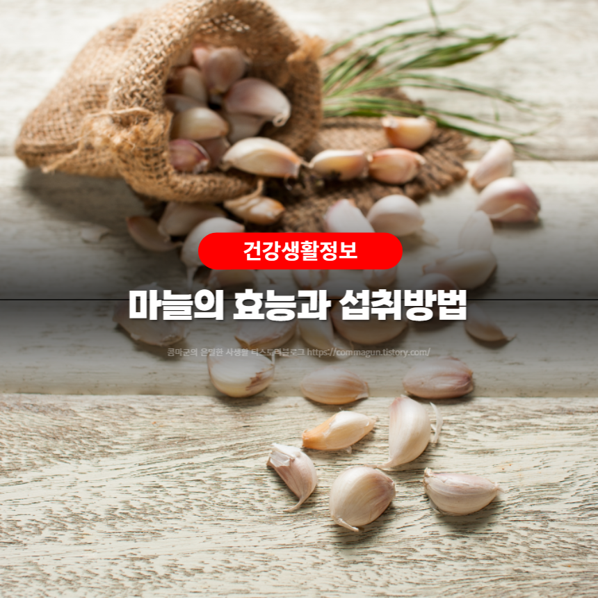 마늘의 효능과 섭취방법을 쉽게 알아보세요.