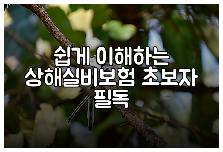 쉽게 이해하는 상해실비보험 초보자 필독
