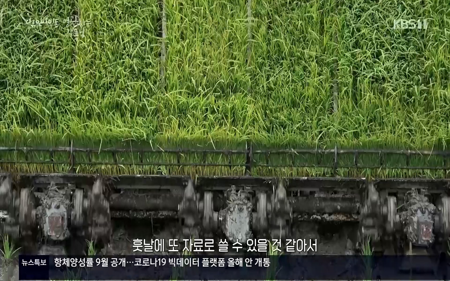 다큐 인사이트.E122.220825p.H264-F1RST.mp4_20220826_152321.337.jpg