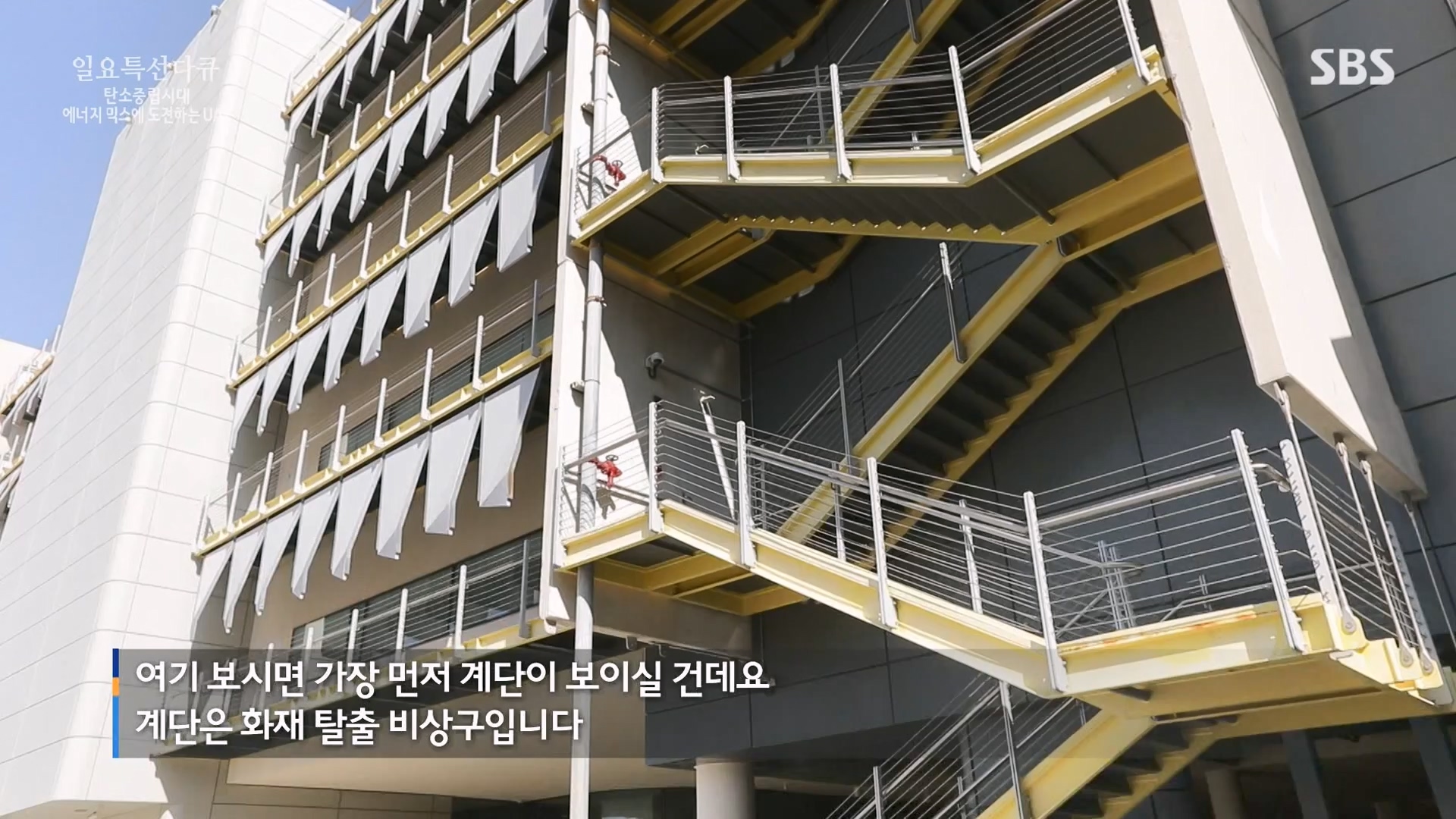 일요특선 다큐멘터리.E337.240121p-NEXT.mp4_20240124_203727.749.jpg