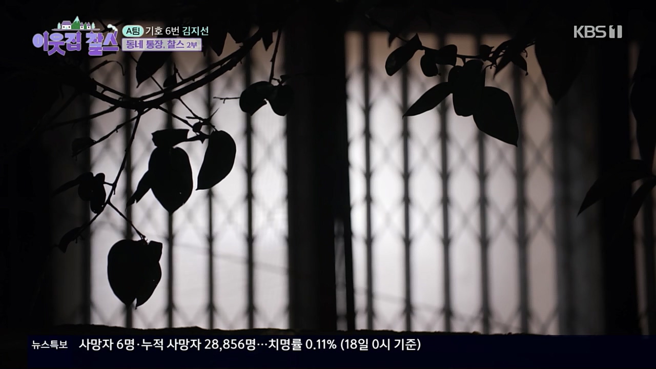 이웃집 찰스.E359.221019p.H264-F1RST.mp4_20221019_191148.946.jpg