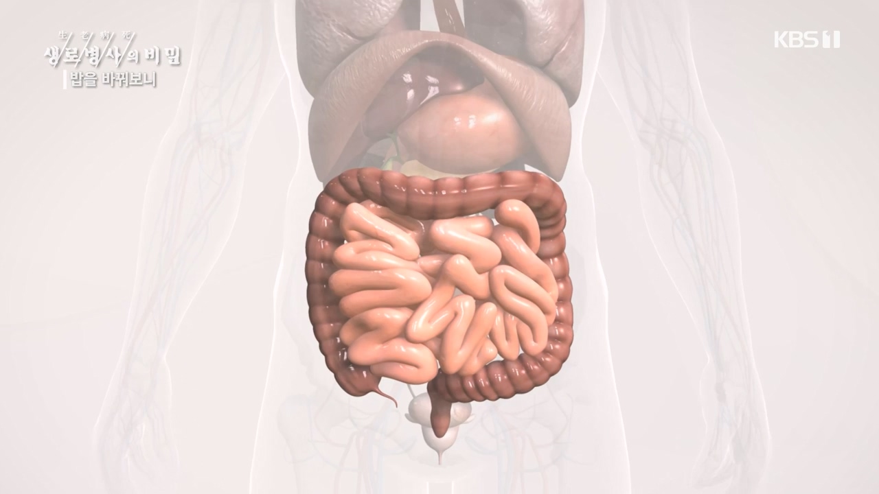 생로병사의 비밀.E901.240222p-NEXT.mp4_20240222_201829.655.jpg