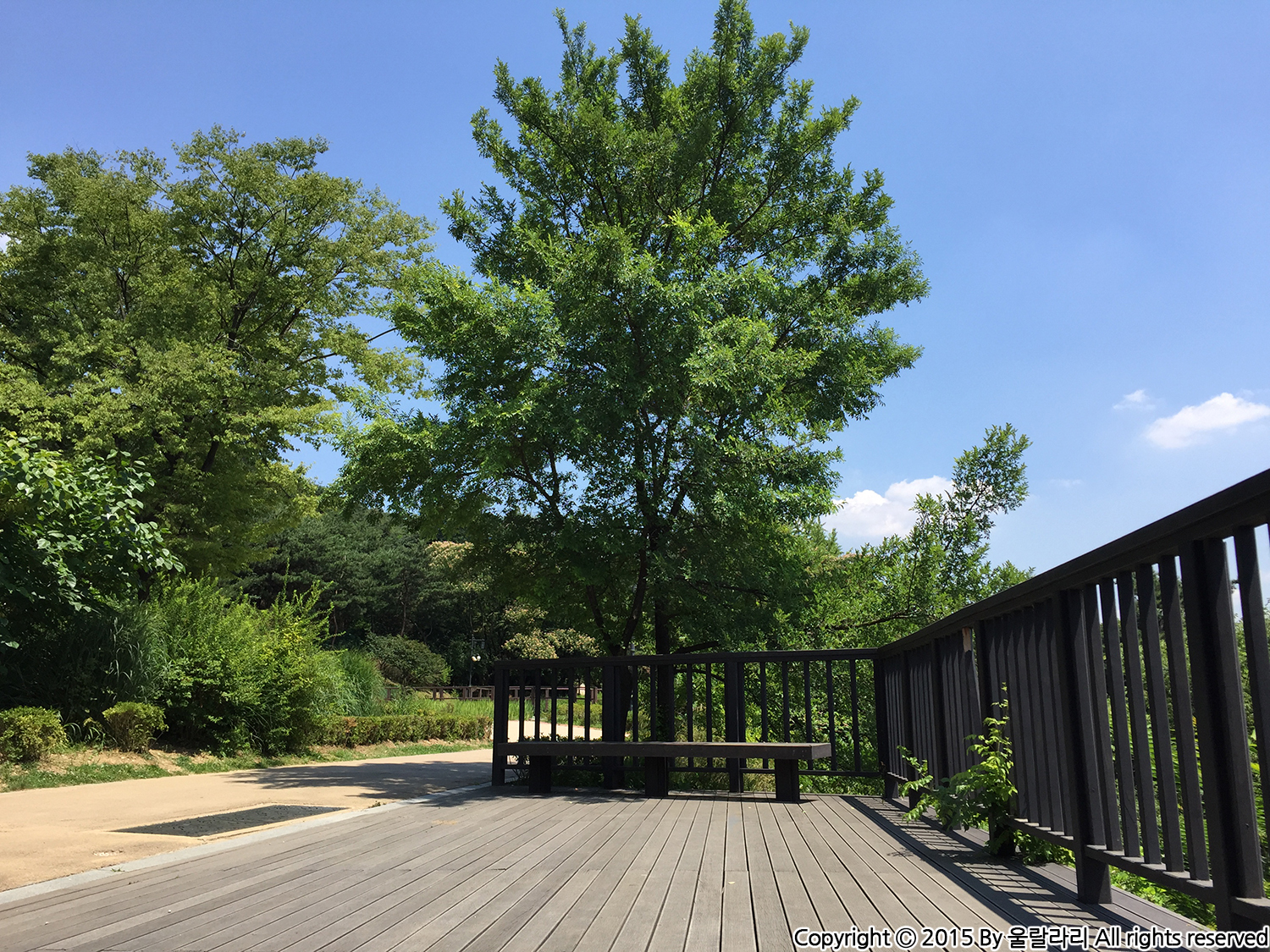 그랜드 하얏트 서울 남산공원
