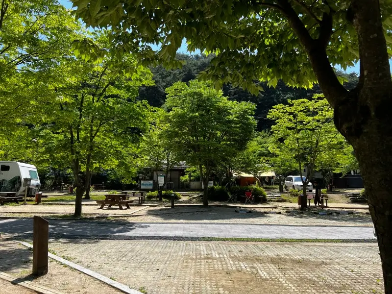 원주-구룡레저타운-야영장