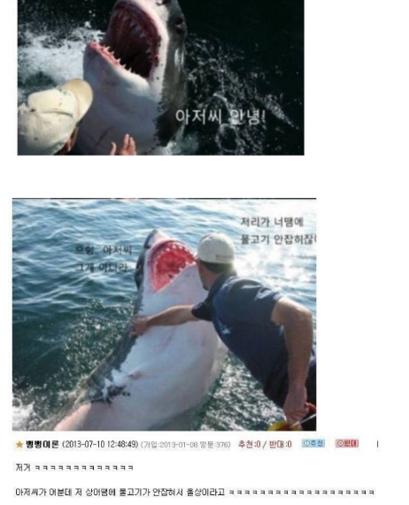  웃긴짤방ㅣ은혜갚는 상어...?