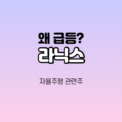  라닉스 - 어떤 기업인가요? 급등이유/기업분석