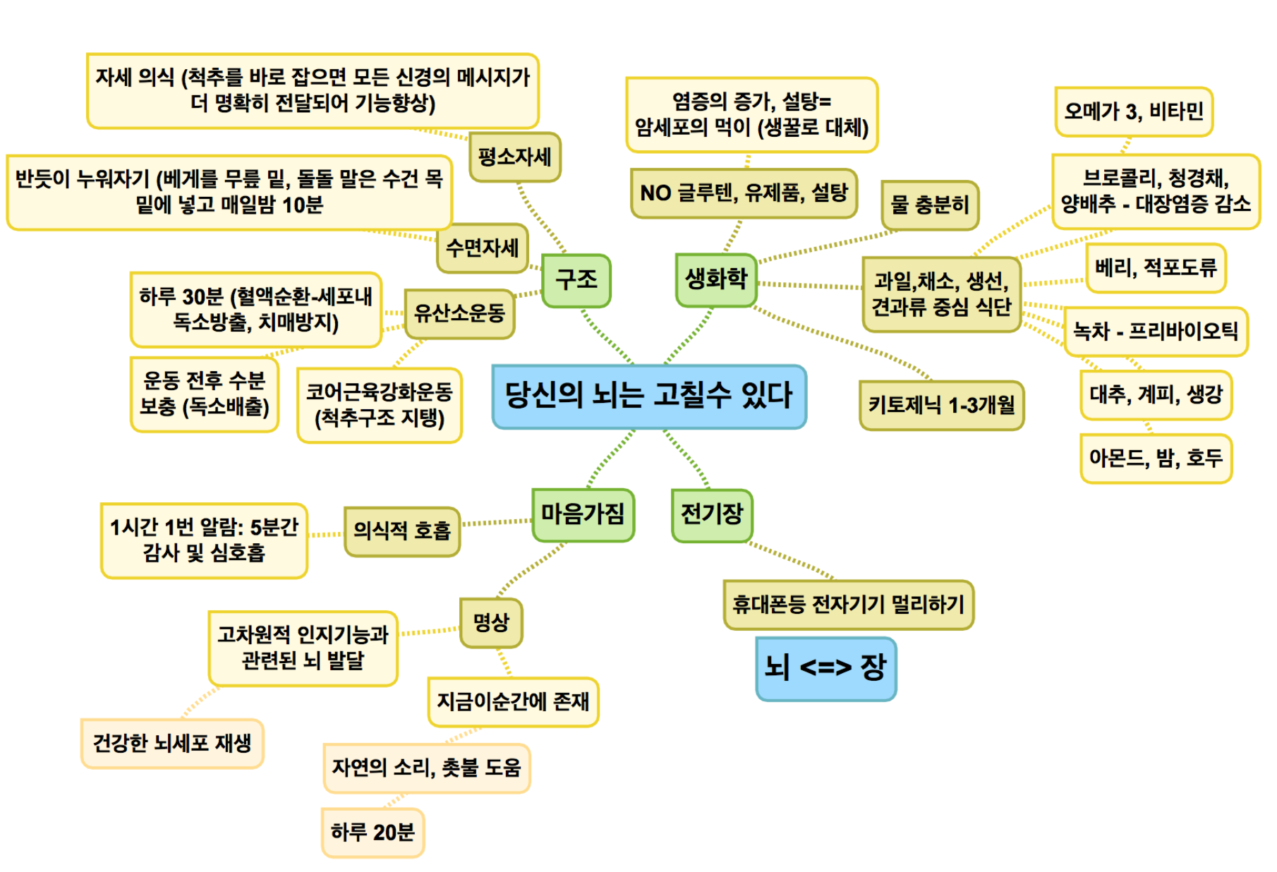 [책] 당신은 뇌를 고칠 수 있다, 톰 오브라이언 (요약 & 마인드맵)