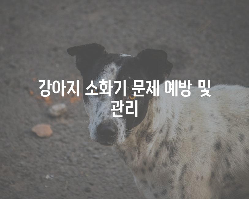 강아지 소화기 문제 예방 및 관리