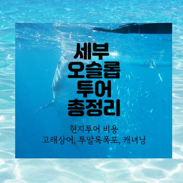  세부에서 오슬롭 현지 투어 비용, 소요시간, 준비물 총정리 (고래상어, 투말록 폭포, 가와산 캐녀닝)