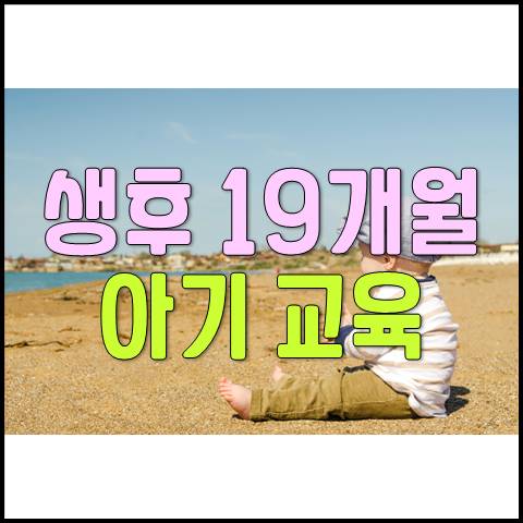  생후 19개월 아기 발달 및 육아 교육(아기 식습관, 선악판단, 배변훈련)
