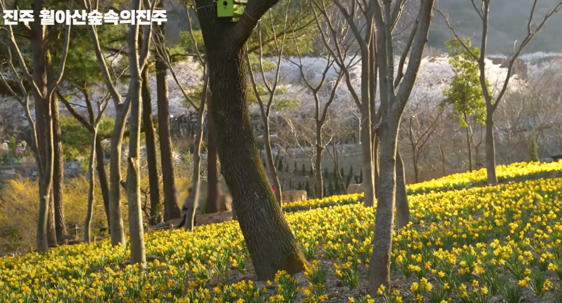 남도 여행지