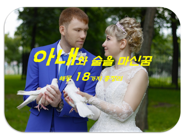  아내와 술마시는 꿈 해몽 18가지 총정리