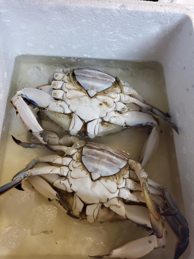 호구식당 이미지