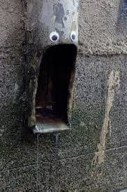 img.jpg