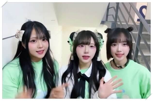 JDB엔터 자회사 걸그룹 이호테우, 전원 계약 해지