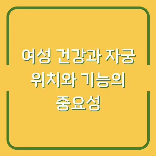 여성 건강과 자궁 위치와 기능의 중요성