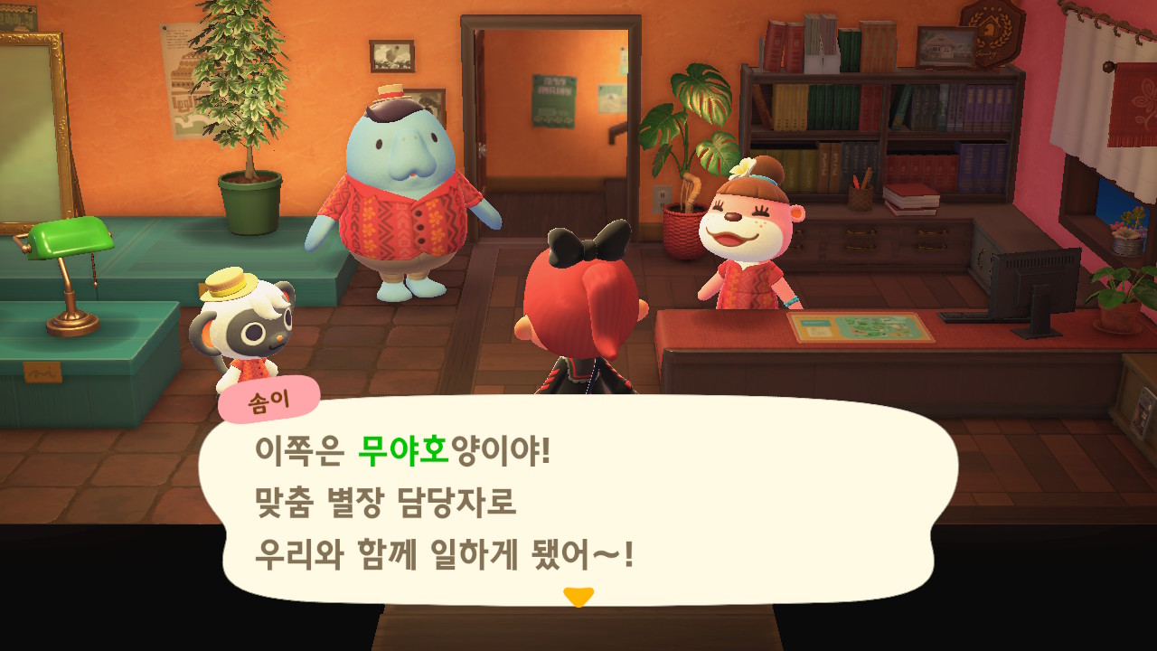 파라다이스힐링 이미지