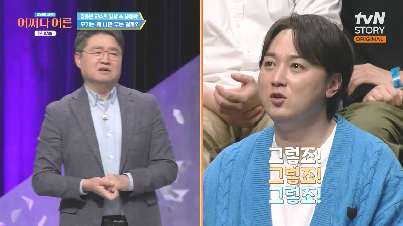 어쩌다 어른.E51.240410p-NEXT.mp4_20240410_173638.528.jpg