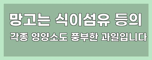  망고는 식이섬유 등의 각종 영양소도 풍부한 과일입니다