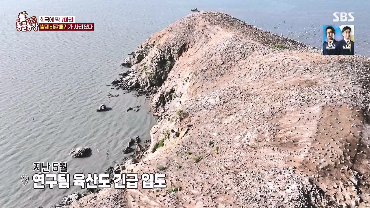 TV 동물농장.E1181.240722p-NEXT.mp4_20240721_165604.478.jpg
