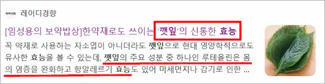 깻잎 효능 기사 이미지