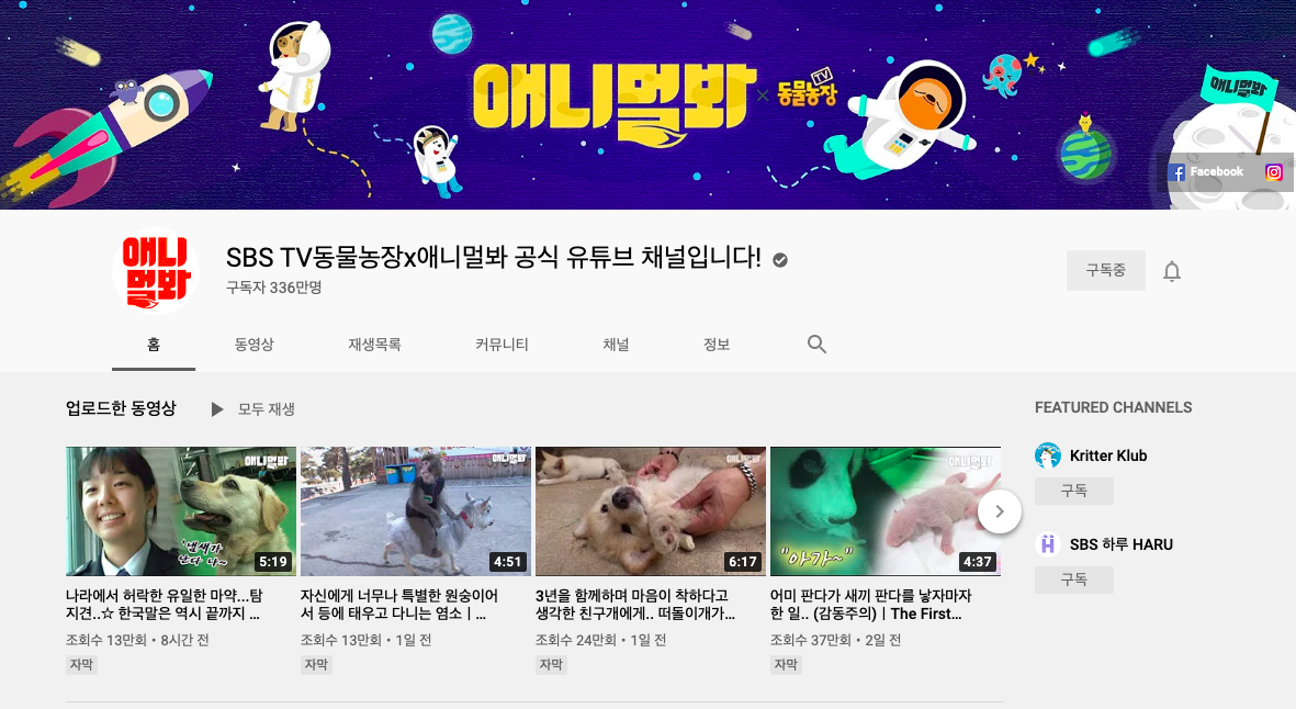 tv동물농장 논란과 사과 다시보기 재방송 유튜브2