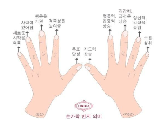  반지 손가락 위치 의미