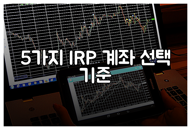 5가지 IRP 계좌 선택 기준