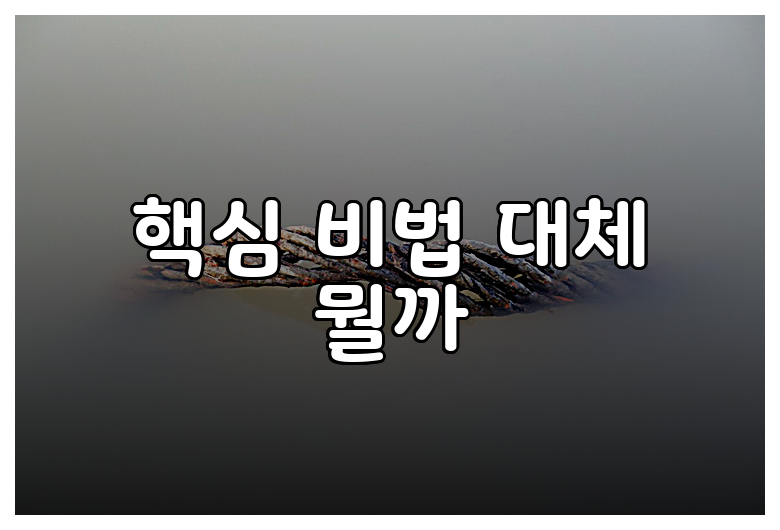 핵심 비법 대체 뭘까