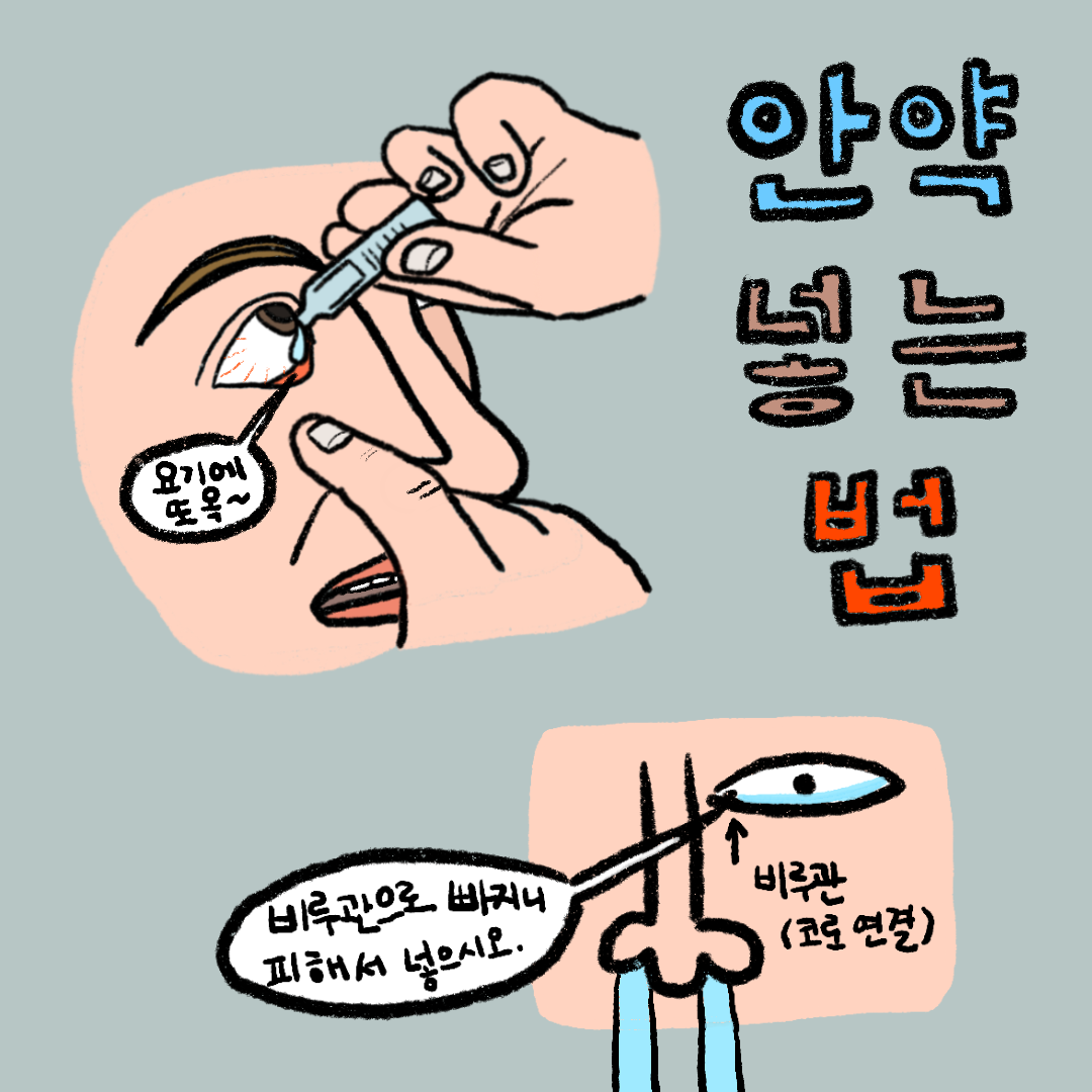  올바른 안약 사용법 - 안약 넣는 방법, 위치 (점안)