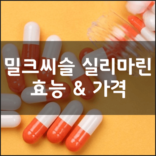 밀크씨슬-실리마린-굼벵이-성분-효능-가격