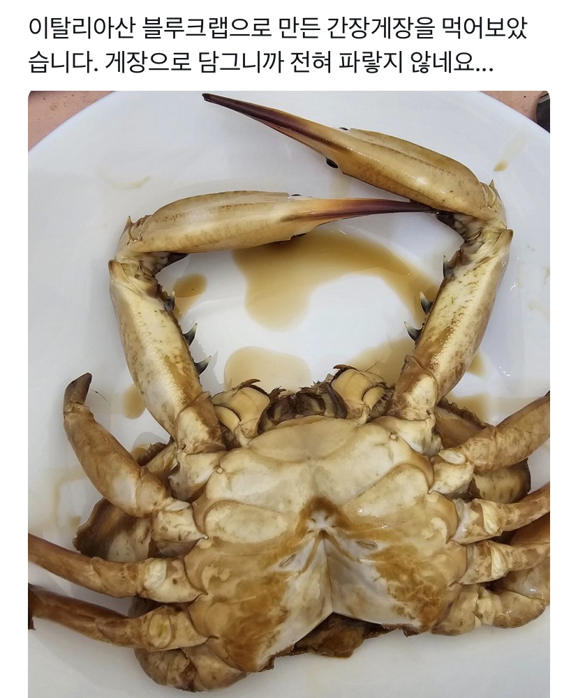 영국 교민이 만든 이탈리아산 블루크랩 간장게장 후기