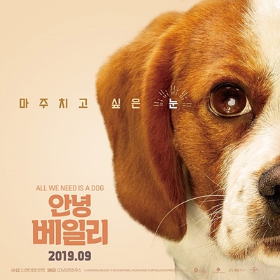  영화 안녕 베일리 줄거리, 개봉일(캐서린 프레스콧, 헨리) 베일리 어게인 후속작?!