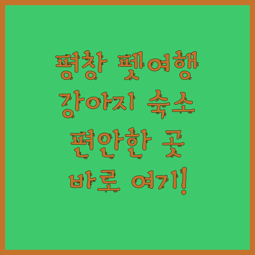 평창 펫 동반 여행 준비 끝! 강아지