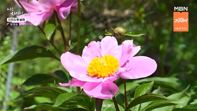 나는 자연인이다.E558.230615p-NEXT.mp4_20230615_200810.737.jpg