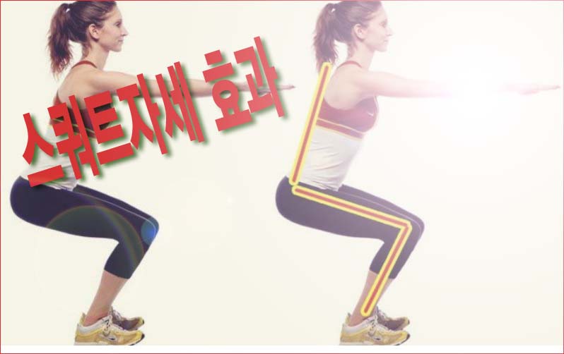  스쿼트자세 효과