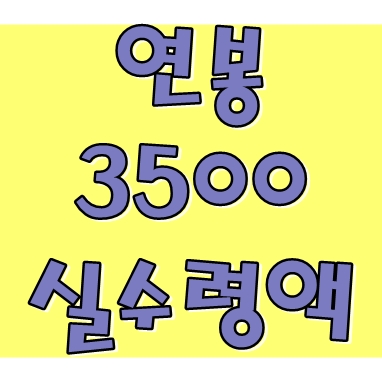  연봉 3500 실수령액 확인방법