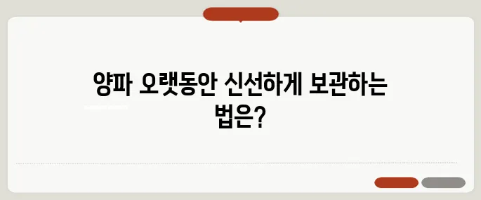 양파 보관법 냉장보다 오래 가는 꿀팁