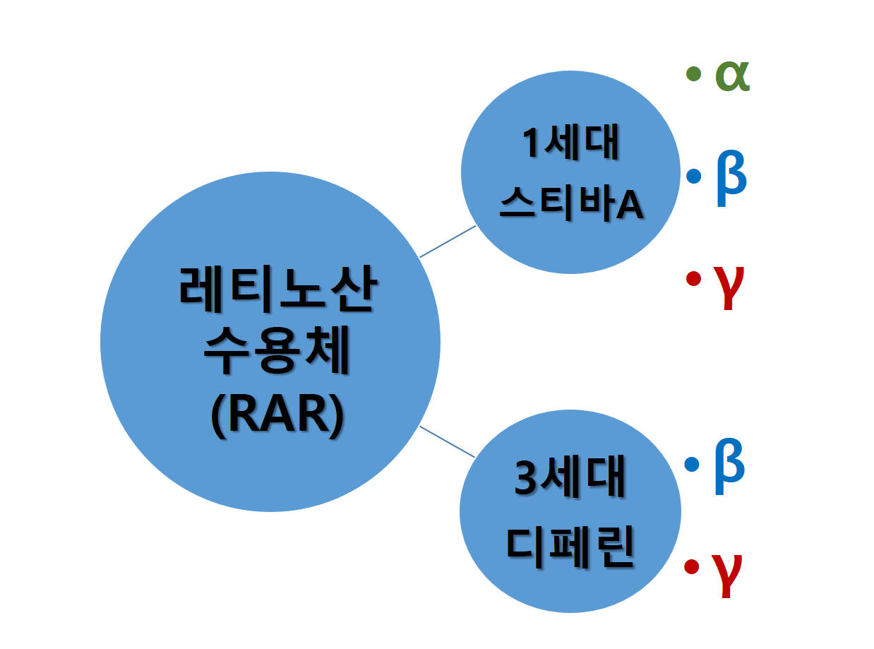 RAR-binding-receptors