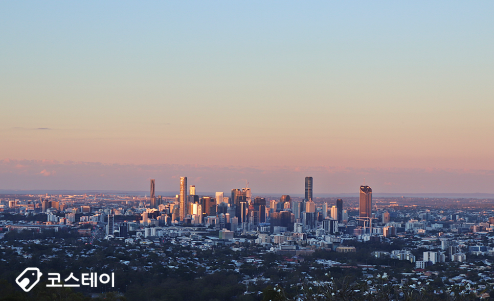 Mount Coot-tha Botanic Gardens(마운틴 쿠사 보타닉가든)