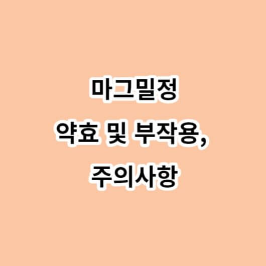 마그밀정-약효-부작용-주의사항