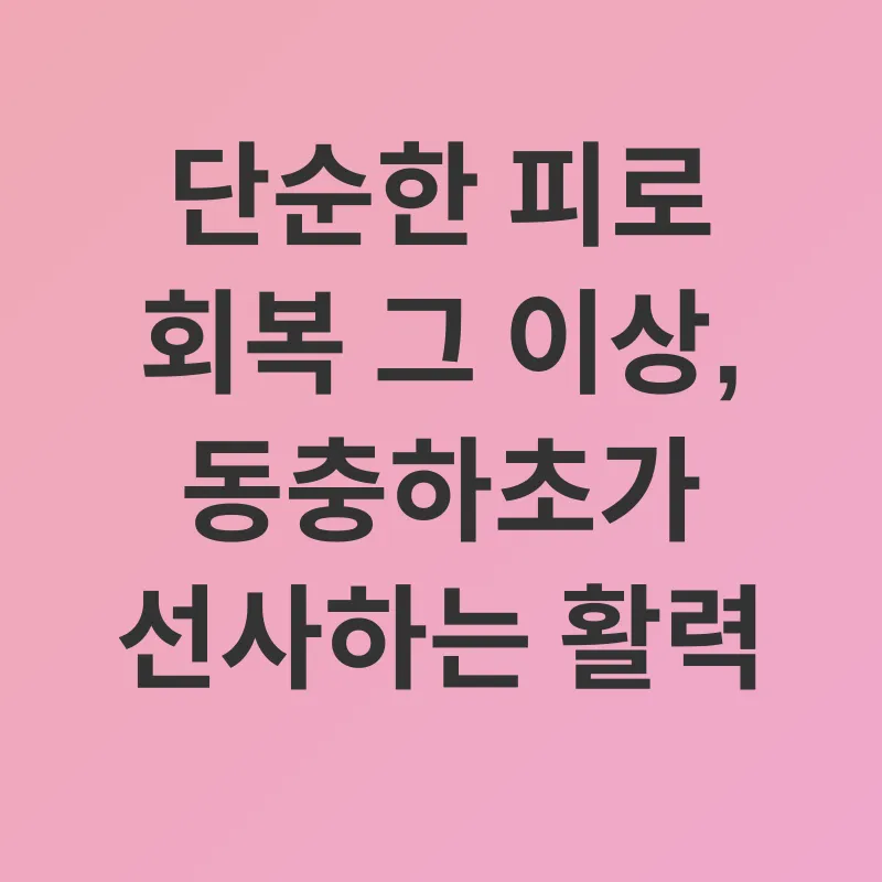 동충하초 효능_2