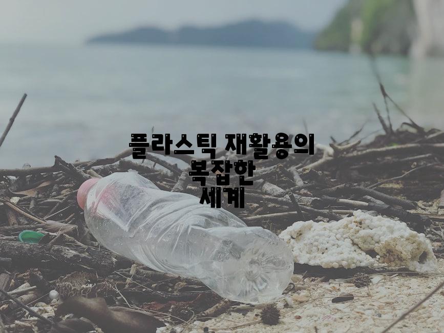 플라스틱 재활용의 복잡한 세계